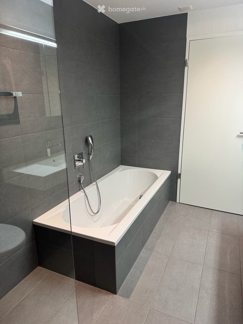 Schöne, helle 3.5 Zimmer Wohnung im 1. Stock mit Sicht auf Berge sucht neuen Eigentümer (18)