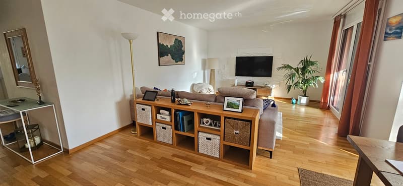 Modern living room with wooden flooring, a grey sofa, a coffee table, a floor lamp, a mirror, a TV, and a plant near the window.