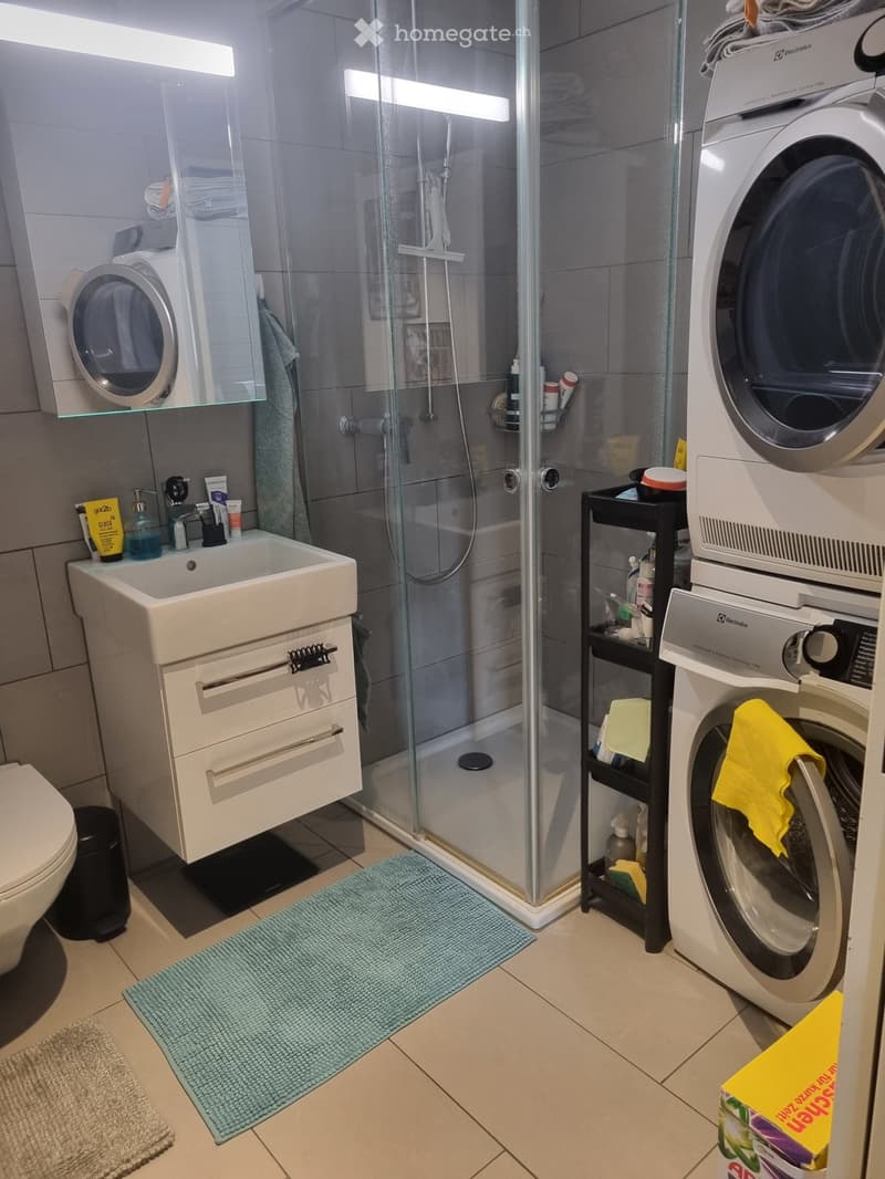 Modern bathroom with a sink, toilet, shower, and washing machine. Includes a mirror, towel, and various toiletries.
