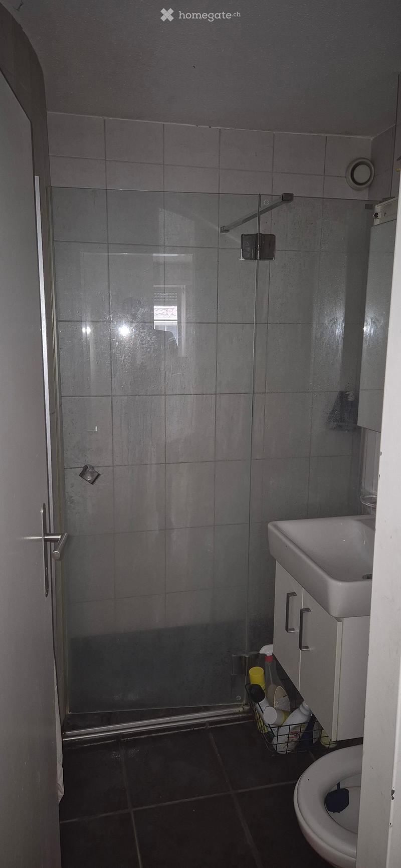 Modern bathroom with a glass-enclosed shower, white sink, toilet, and cleaning supplies stored in a basket.