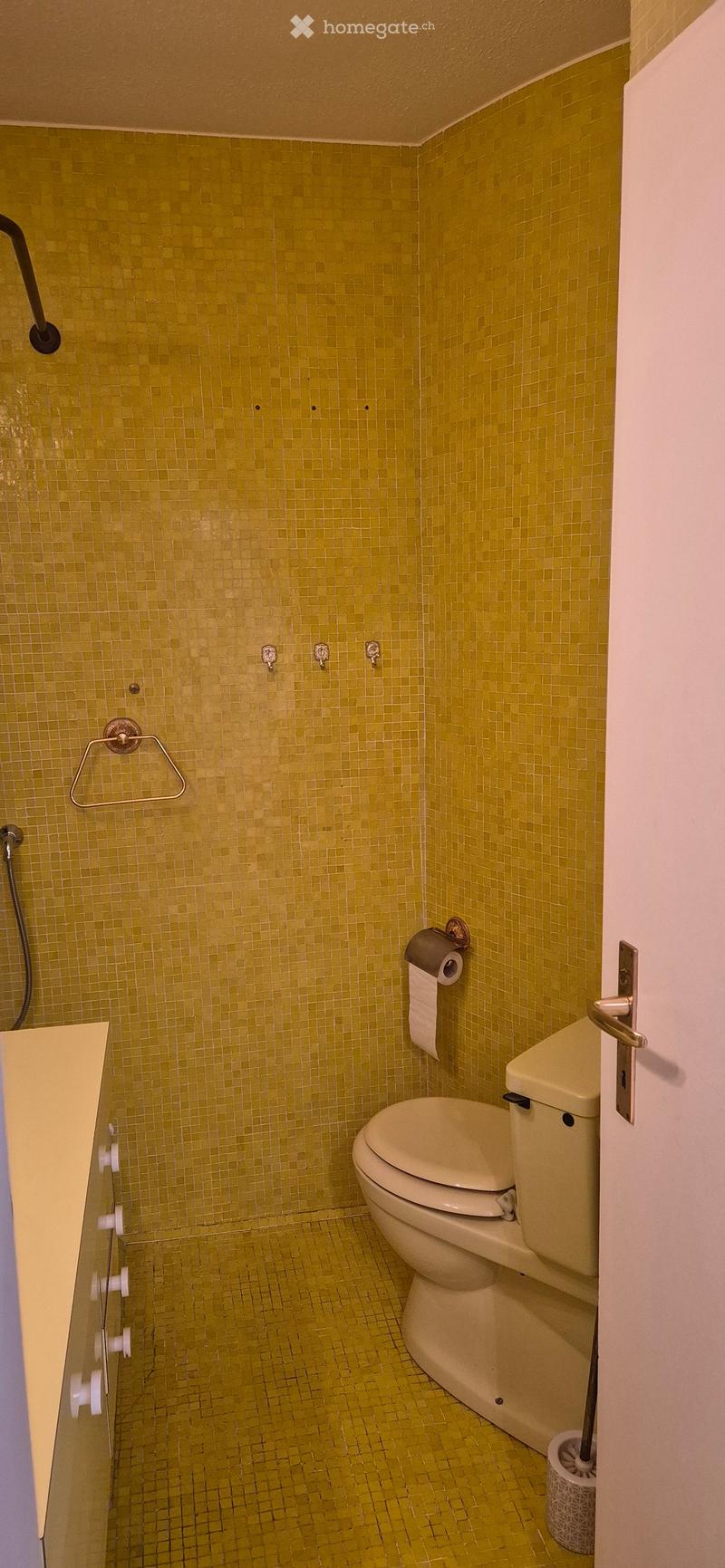 Bathroom with green tiled walls and floor, a toilet, toilet paper holder, and a shower hook.