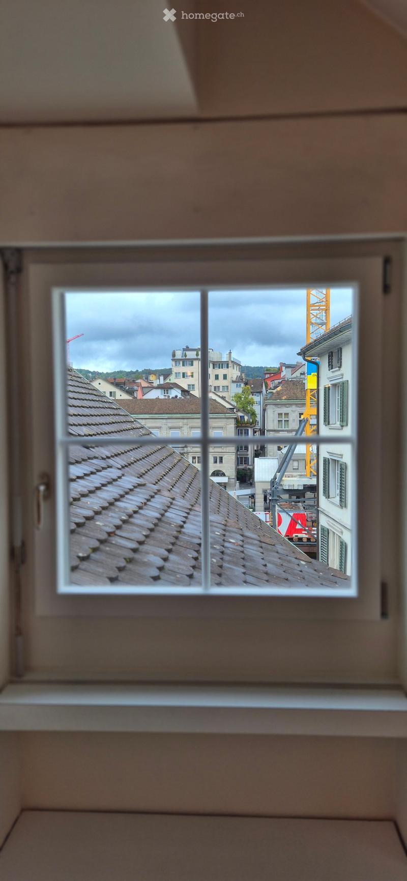 View from a window showing a tiled roof and surrounding buildings under a cloudy sky.