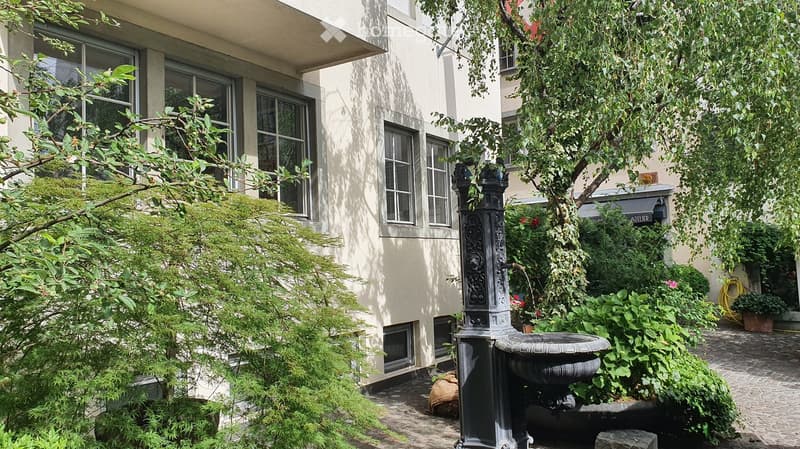 A serene garden area with lush greenery, a decorative fountain, and a building with large windows in the background.
