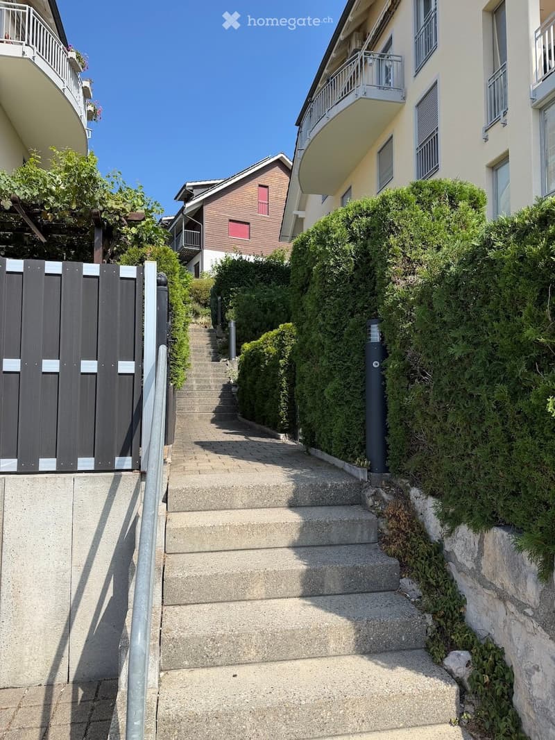 A narrow, concrete staircase leading up between two residential buildings, flanked by neatly trimmed hedges and a metal gate on the left.