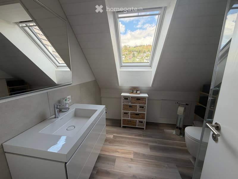 Modern bathroom with a large sink, mirror, storage unit, and toilet. The room features skylights and wooden flooring.