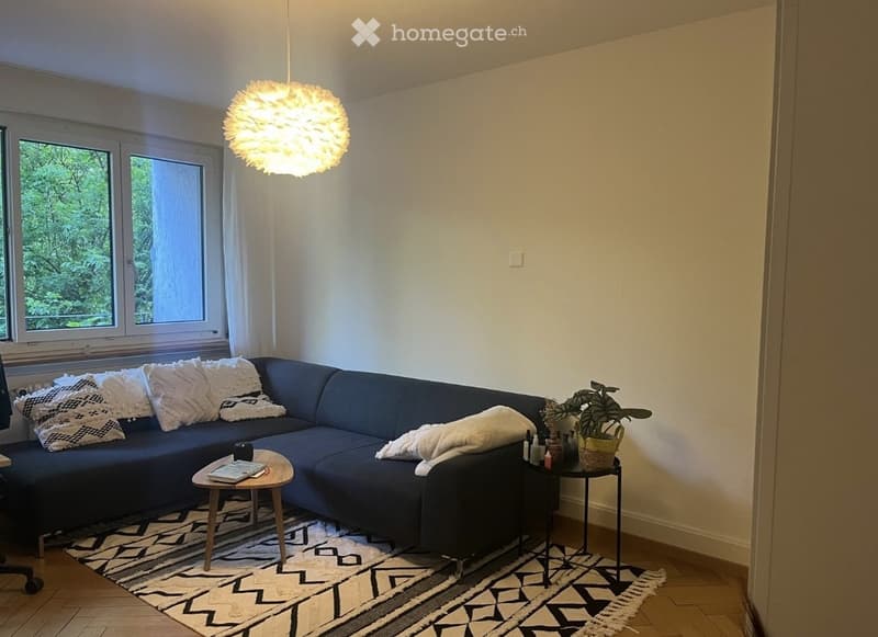Modern living room with a dark blue sectional sofa, patterned rug, small wooden coffee table, side table with plant, and a hanging spherical light fixture.