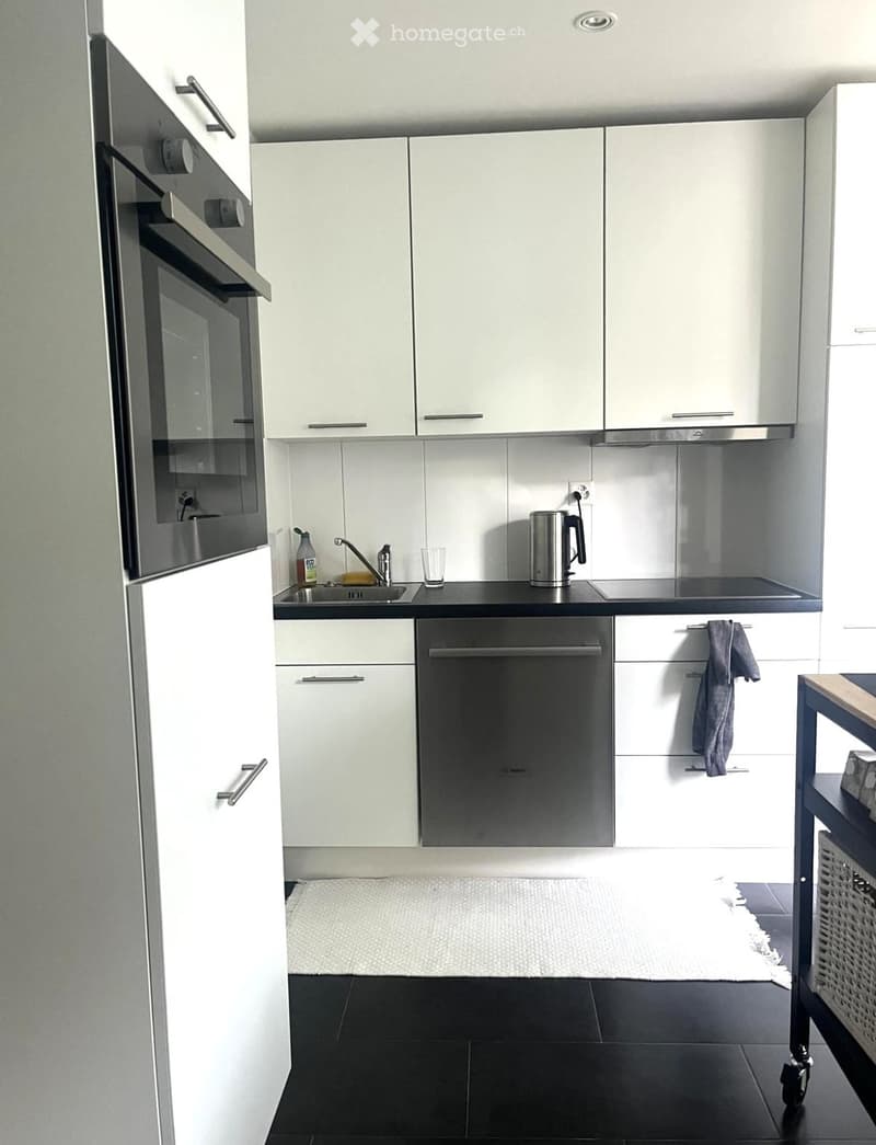 Modern kitchen with white cabinets, black countertops, stainless steel appliances, and a small white rug on the floor.