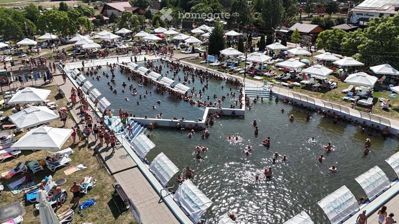 A large outdoor swimming pool area filled with people, surrounded by lounge chairs, umbrellas, and grassy areas.