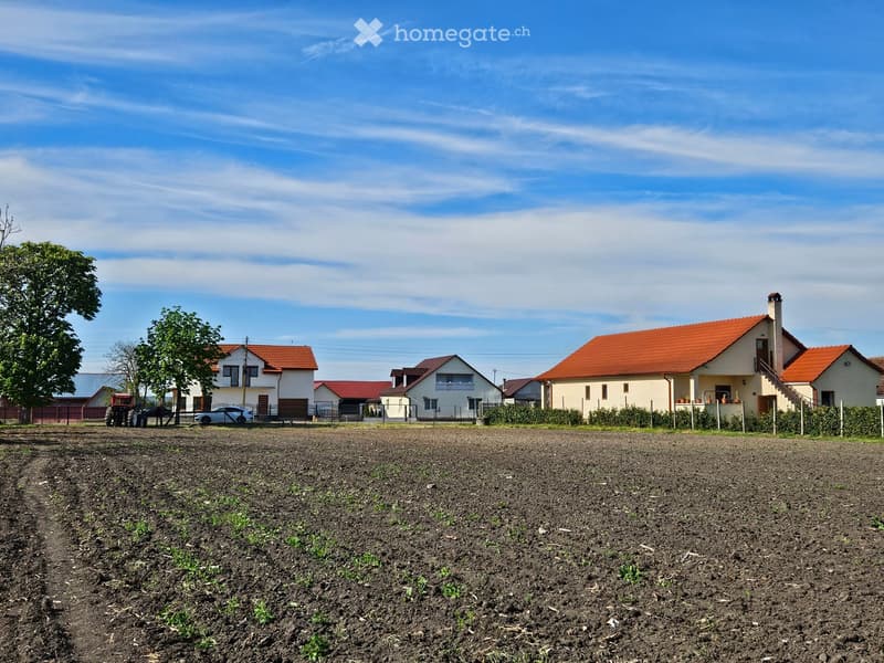 Residential houses with red-tiled roofs and white walls, surrounded by a plowed field and trees.