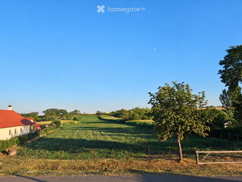 Rural landscape with a small house, red-tiled roof, surrounded by fields and trees under a clear blue sky.