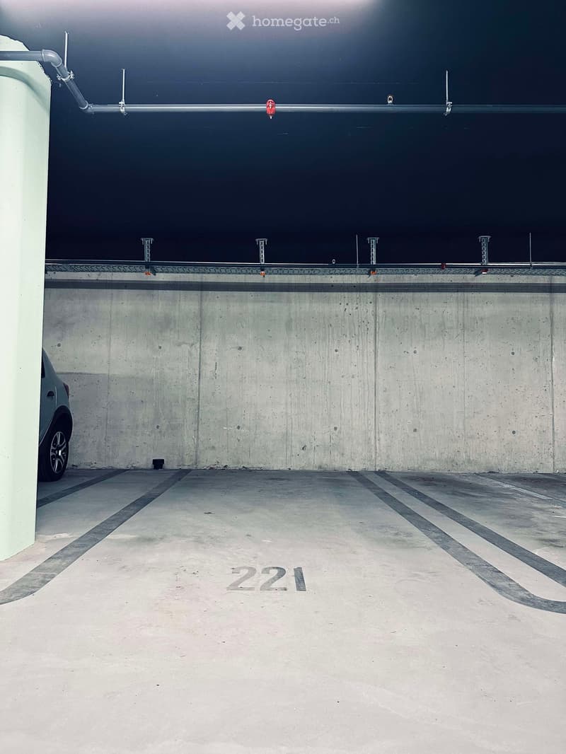 Underground parking space with concrete walls and floor, marked with the number 221. A car is partially visible on the left side.