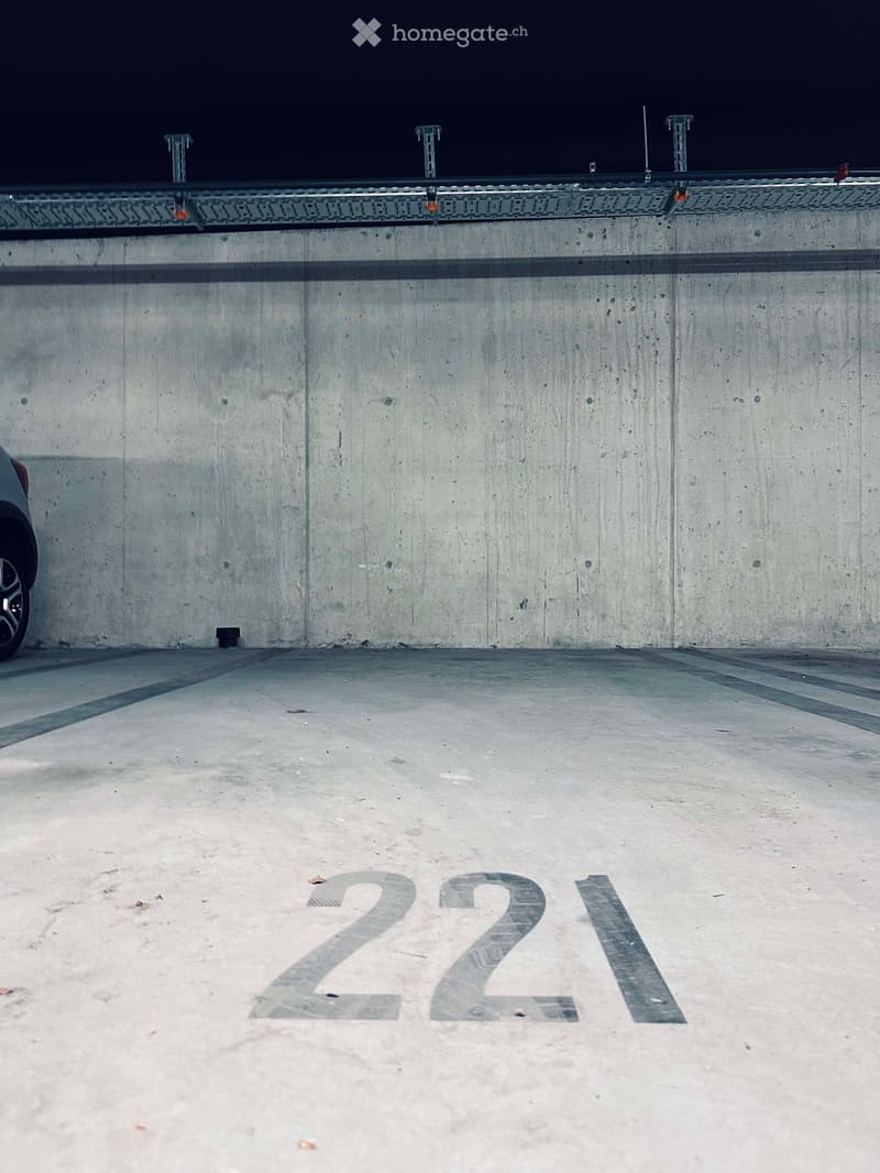 {"type": "Parking place", "objects": [], "description": "Empty parking space with a concrete barrier wall and the number \"221\" painted on the ground.", "localized_descriptions": {"EN": "Empty parking space with a concrete barrier wall and the number \"2