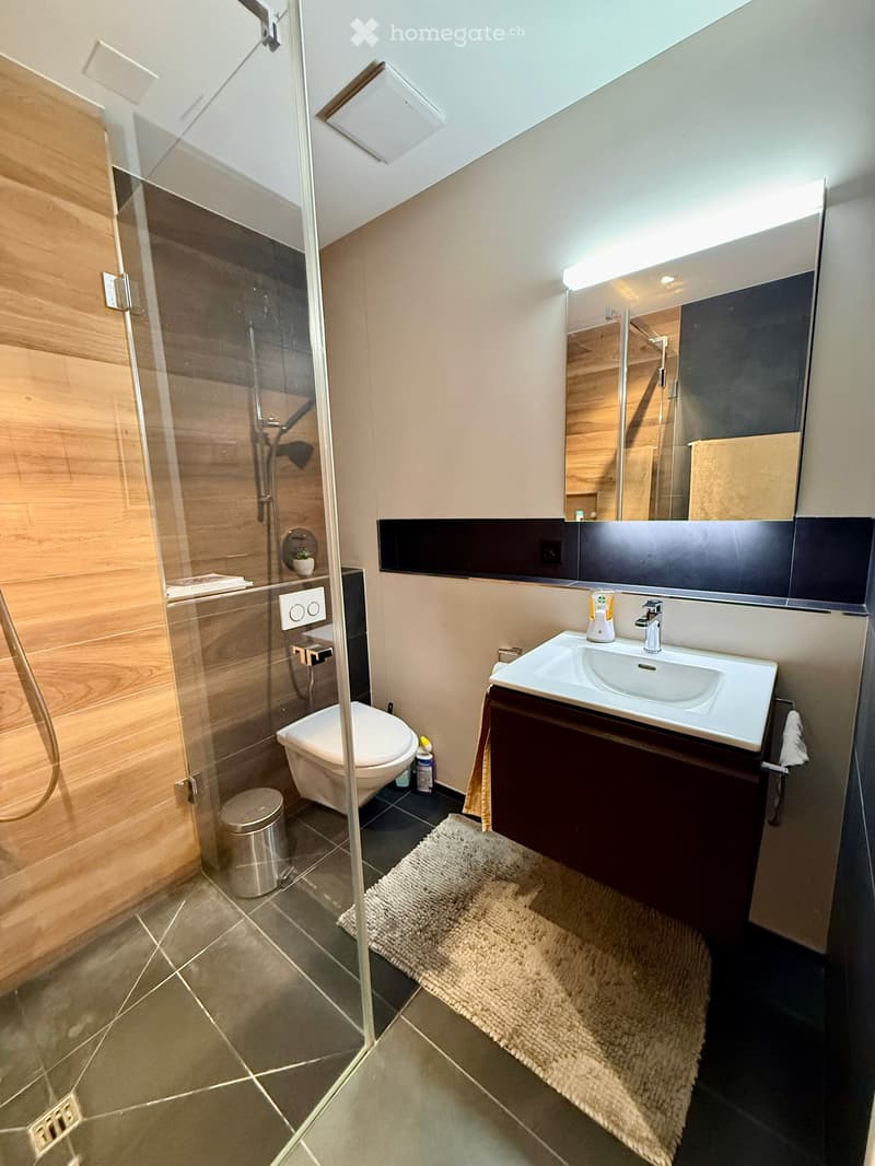 Modern bathroom with a glass-enclosed shower, toilet, sink with a cabinet, and a large mirror above the sink. The floor is tiled, and there is a small rug in front of the sink.