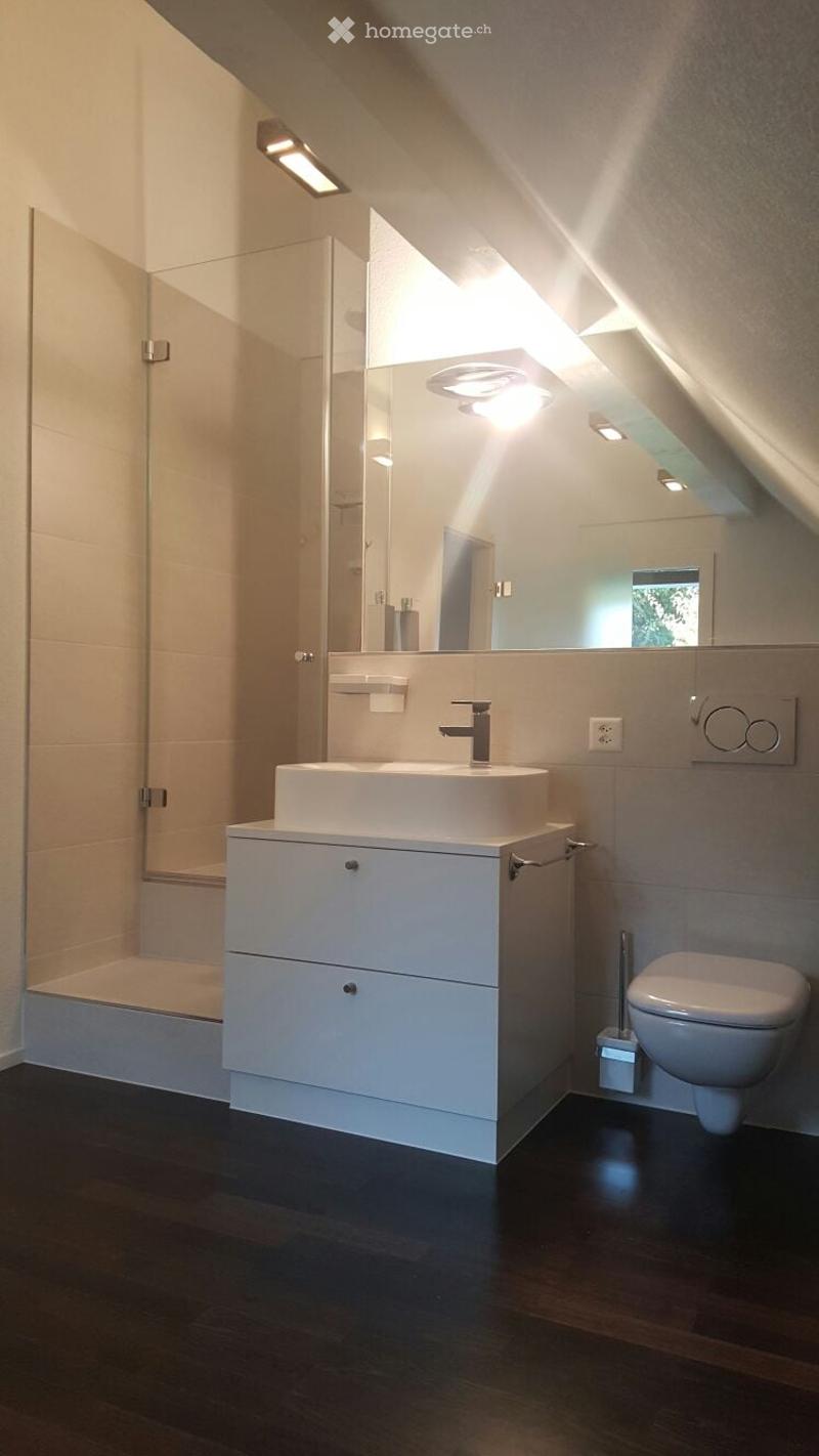 Modern bathroom with a white sink, sleek faucet, mirrored cabinet, and a glass-enclosed shower. The room features dark wooden flooring and recessed lighting.