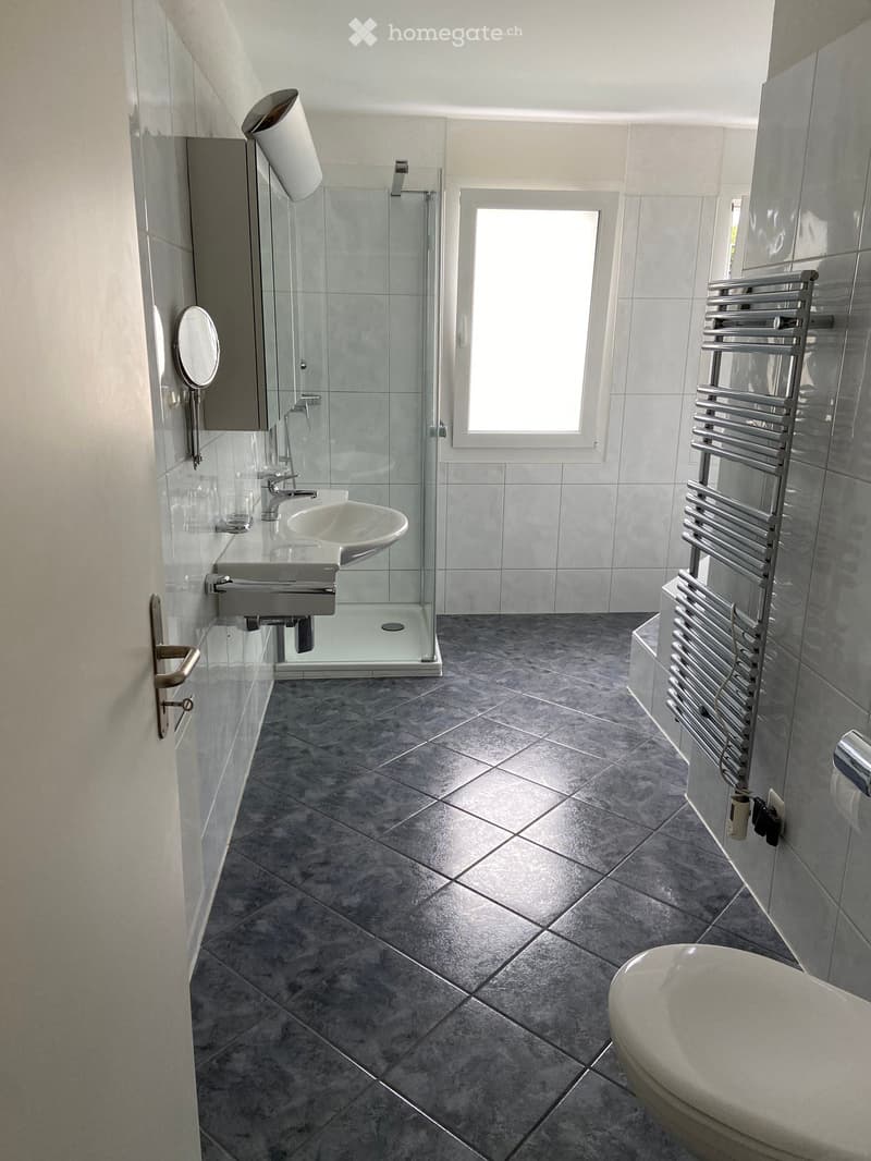 Modern bathroom with grey tiles, a sink with a mirror, a shower, a radiator, and a toilet.