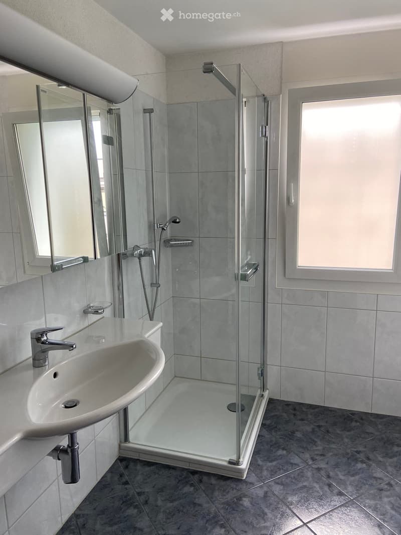 Modern bathroom with a white sink, chrome faucet, large mirror, and a glass-enclosed shower stall.