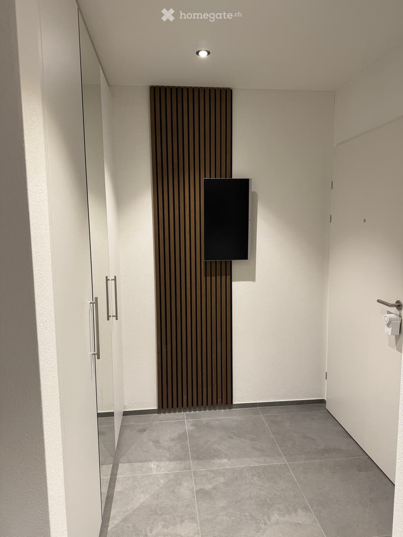 Modern bathroom with a sleek radiator, a large mirror, and a toilet paper holder on the wall.