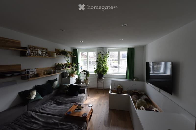 Modern living room with a grey sectional sofa, wooden coffee table, floating shelves with books and plants, large windows with green curtains, and a flat-screen TV mounted on the wall.