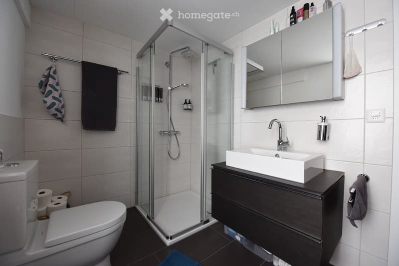 Modern bathroom with a white sink, dark wooden cabinet, toilet, glass-enclosed shower, and a mirror with storage above the sink. Toilet paper rolls are placed next to the toilet, and towels are hanging on the wall.