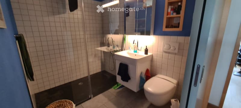 Modern bathroom with white tiles, a glass-enclosed shower, a white sink with a mirror above it, and a toilet. The space includes a towel hanging on the wall and a small wooden shelf with toiletries.