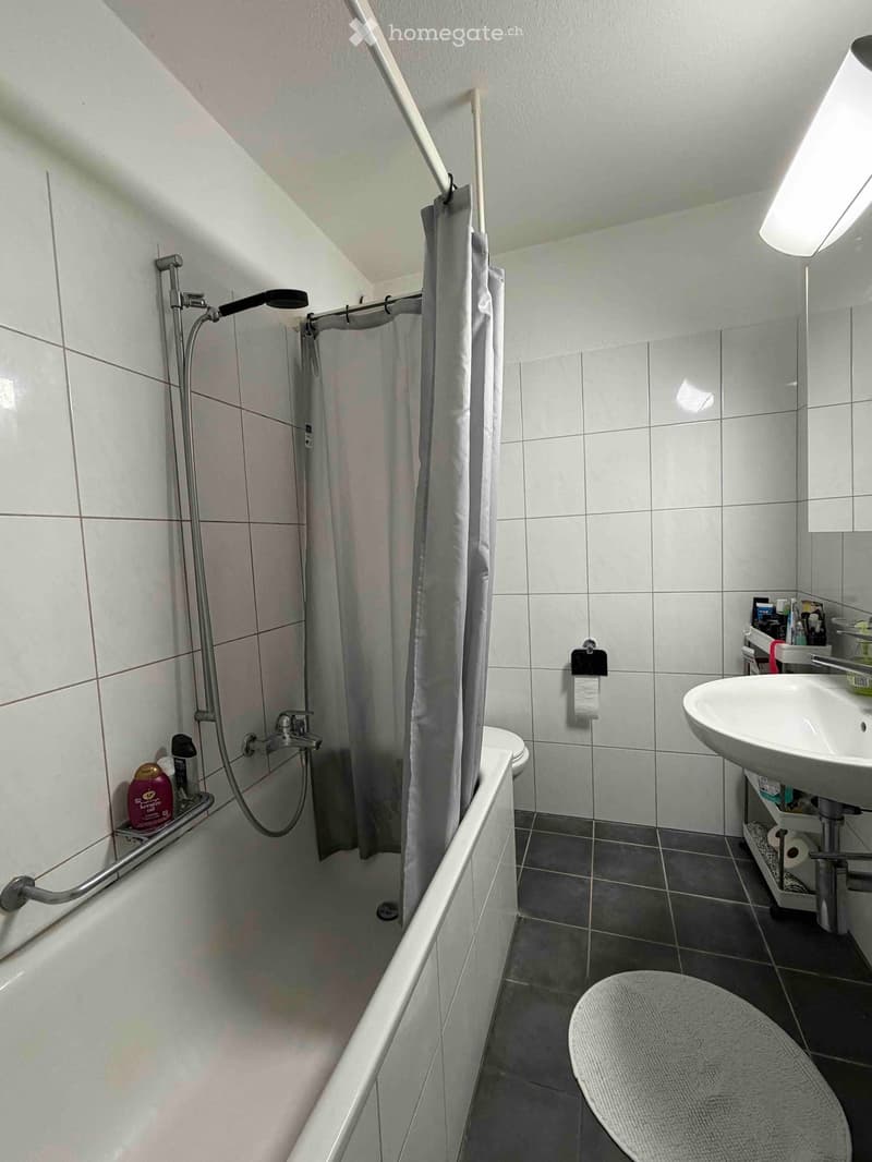 Modern bathroom with a bathtub, shower curtain, sink, toilet, and various toiletries.