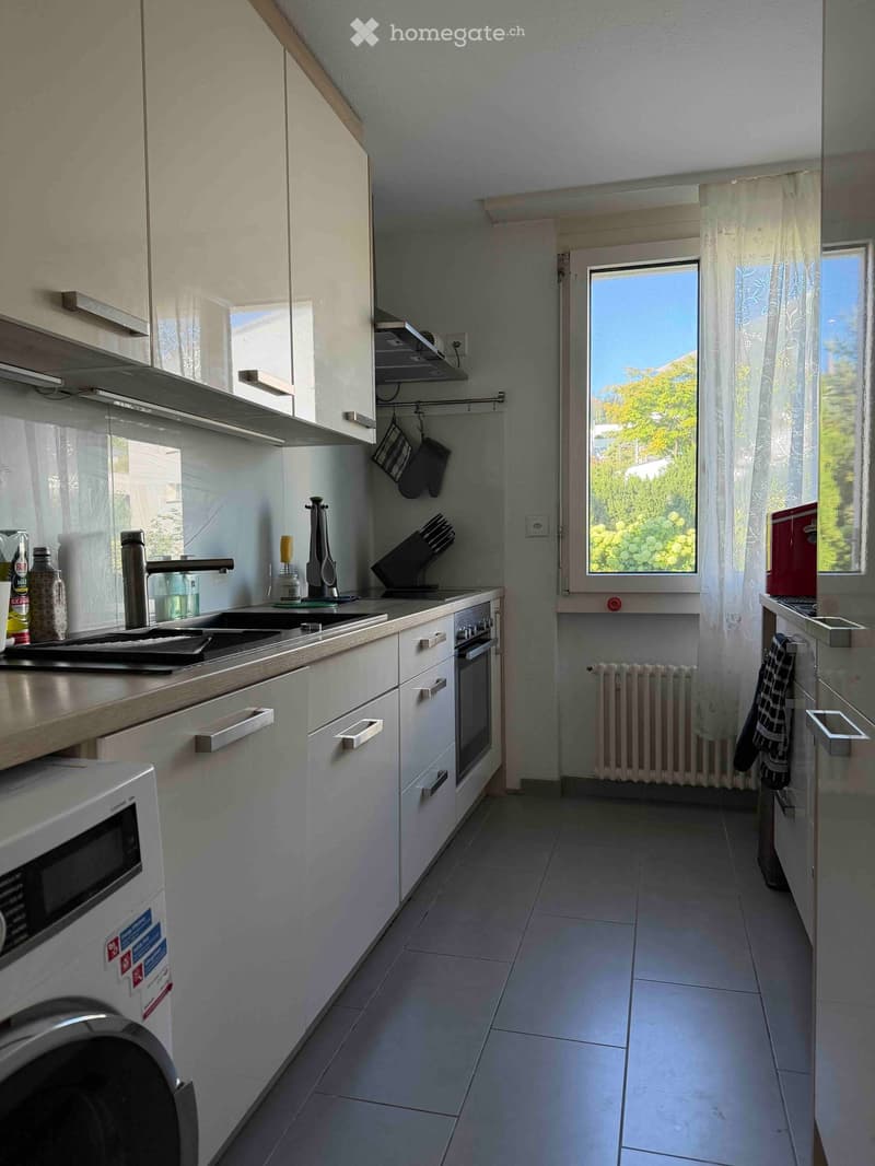 Modern kitchen with white cabinets, stainless steel appliances, and a window overlooking greenery.