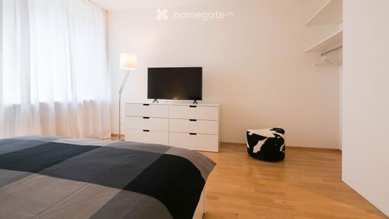 Modern bedroom with a large bed, a white dresser with a TV on top, a black and white cowhide print stool, and a floor lamp next to a large window with white curtains.
