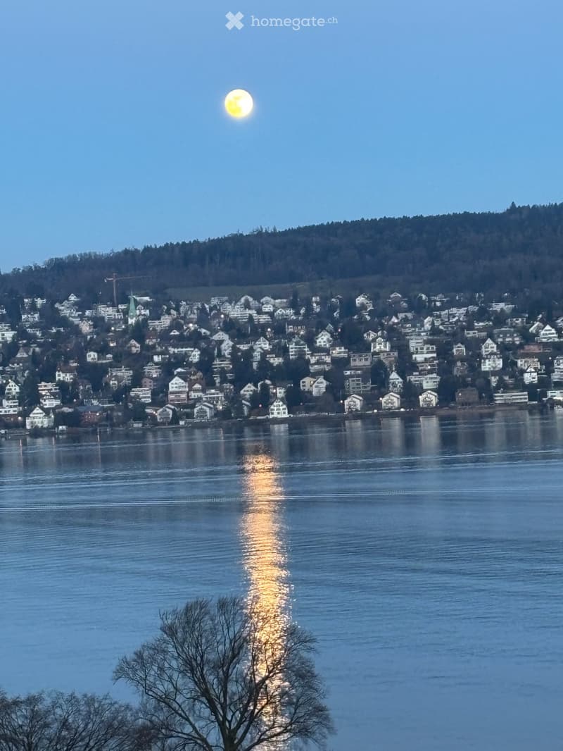 Moonlit view of a town across a calm lake, with reflections of the moon and town lights on the water surface.