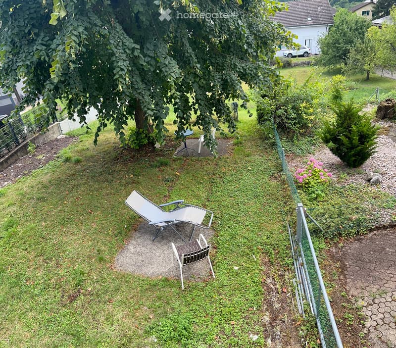 Garden with a lounge chair, small table, and chairs under a large tree, surrounded by grass and shrubs.