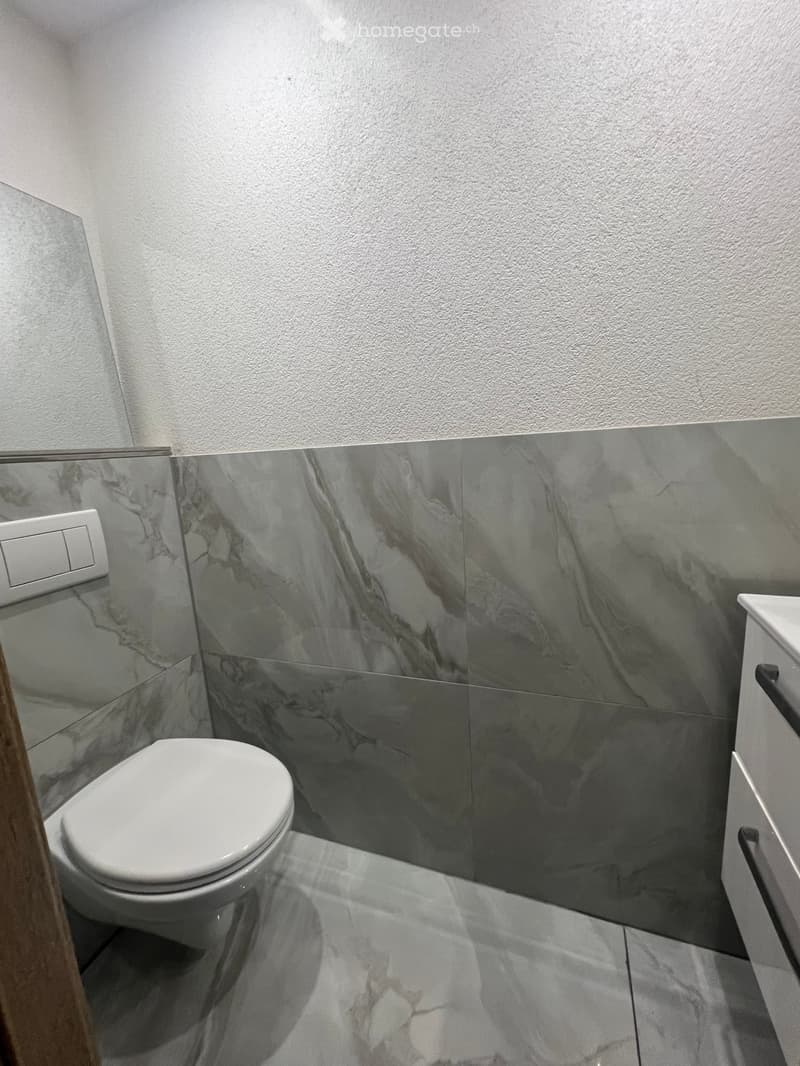 Modern bathroom with marble tiles, a white toilet, and a sink with a sleek design.