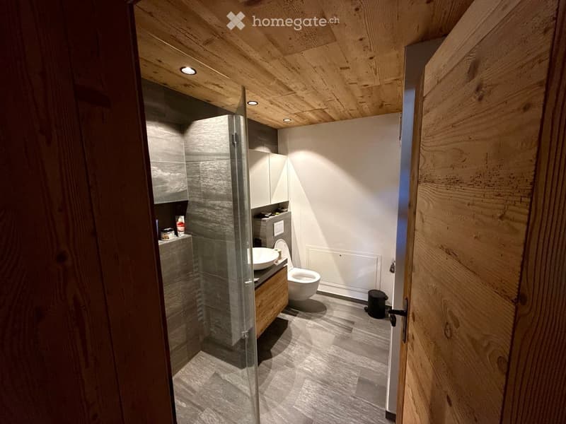 Modern bathroom with wooden ceiling, grey tiles, and a glass-enclosed shower area. Includes a toilet, sink, and small cabinet.