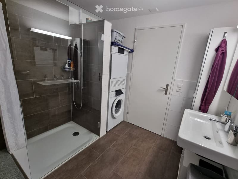 Modern bathroom with a glass-enclosed shower, a white sink with a mirror, and a private washing machine. The space features brown tiled floors and walls.