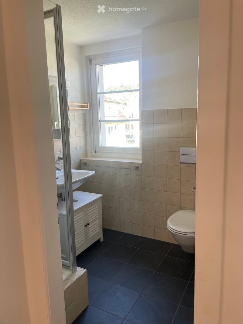 Modern bathroom with beige tiled walls, dark tiled floor, toilet, sink, and mirrored cabinet.