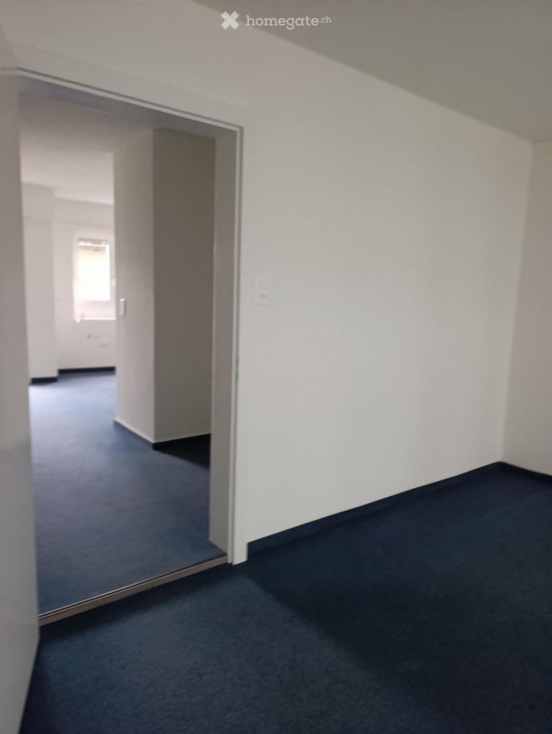 Empty room with white walls, blue carpet, and a glass door leading to another room.