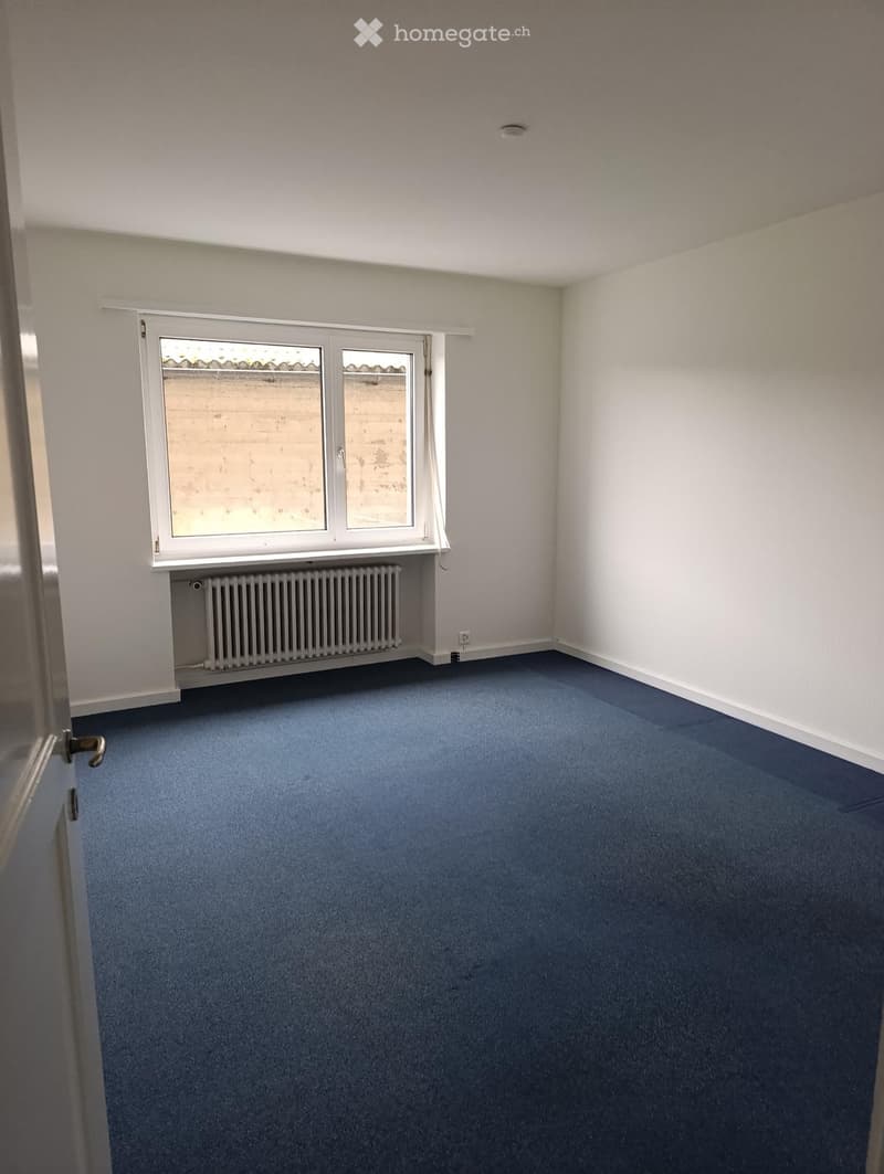 Empty room with blue carpet, white walls, a window with white frame, and a radiator below the window.