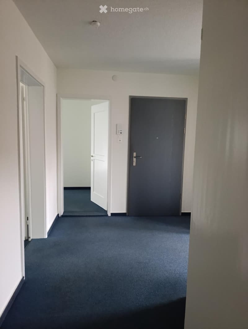 Empty hallway with blue carpet, white walls, and doors on both sides.