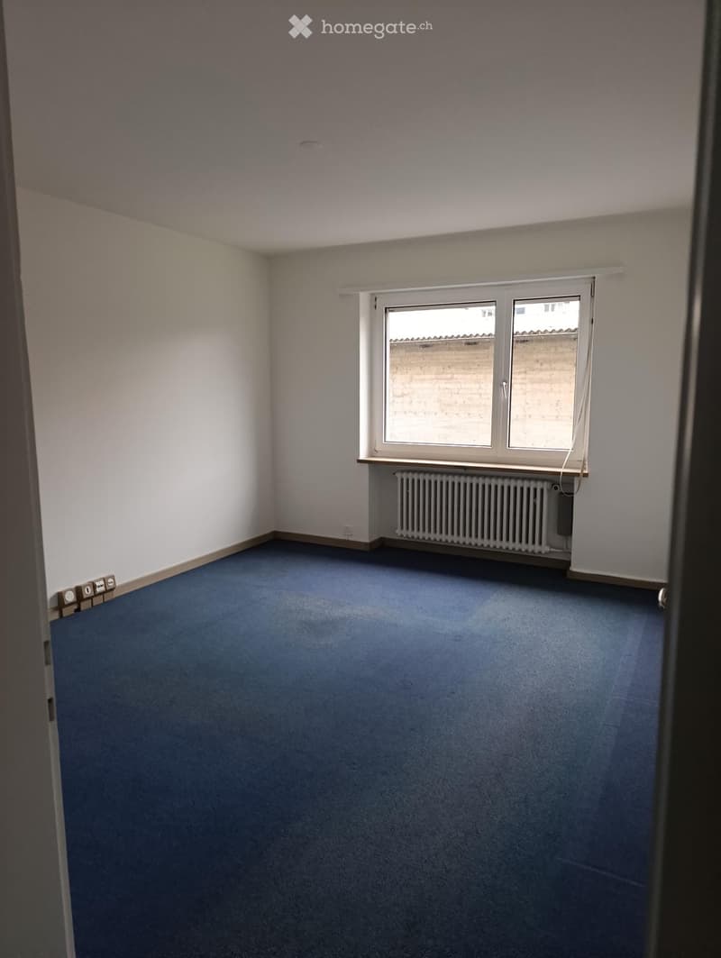 Empty room with blue carpet, white walls, a window with a radiator below, and electrical outlets on the wall.