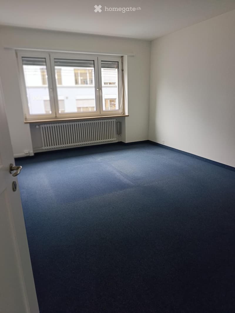 Empty room with blue carpet, white walls, large window with white frame, radiator below window, and a door with silver handle on the left side.