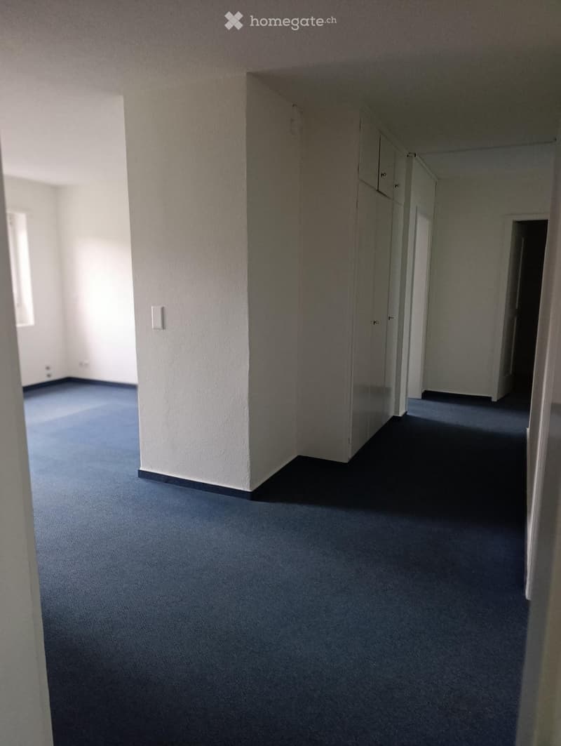 Empty hallway with blue carpeting and white walls, featuring a closed door and light switch visible.