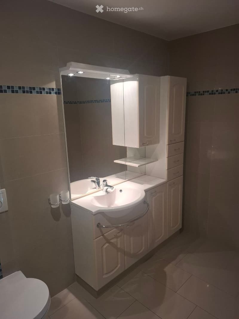Modern bathroom with a white sink, large mirror with built-in lighting, and white cabinets.