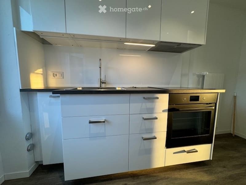 Modern kitchen with white cabinets, a stainless steel sink, and a built-in oven. The space features sleek, contemporary design with a wooden floor and ample storage.