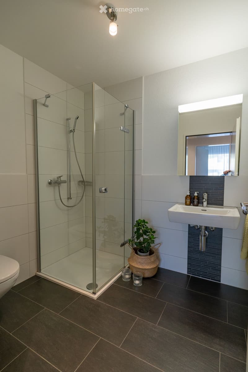 Modern bathroom with dark tiled floor, glass-enclosed shower, white sink, and a small potted plant on the floor.