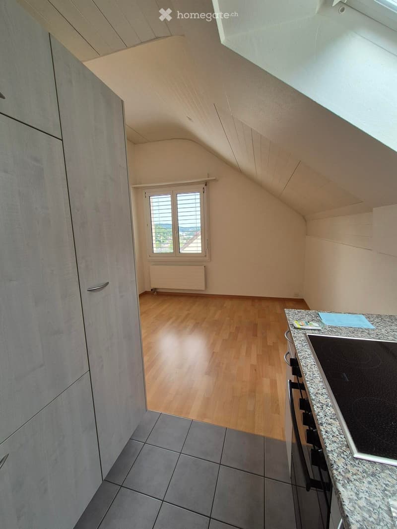 Modern kitchen with grey cabinets, granite countertop, electric stove, and wooden flooring in an attic space with skylight windows.