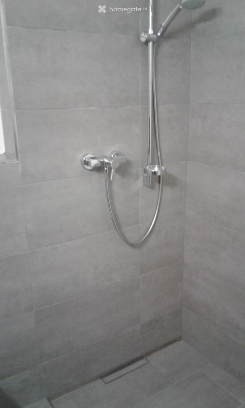 A corner shower with a shower head, a curved hose, a shower handle, and tiled walls