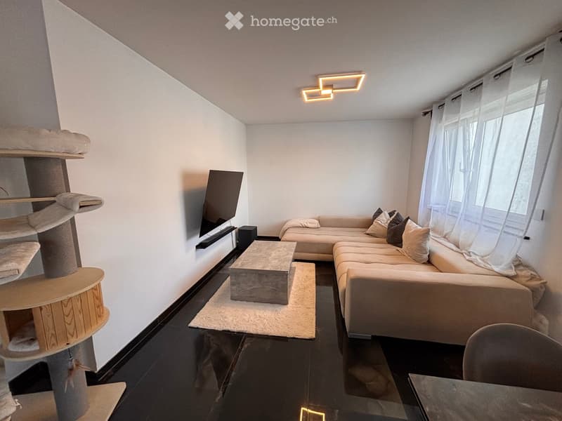Modern living room with a sectional sofa, coffee table, cat tree, TV, and a sleek, contemporary design.