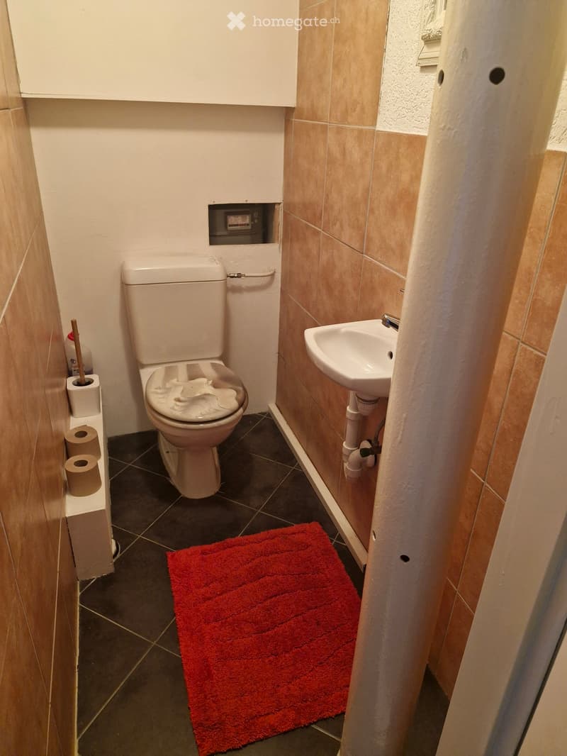 Compact bathroom with a toilet, sink, toilet paper holder, and a red bathroom rug on the dark tiled floor.