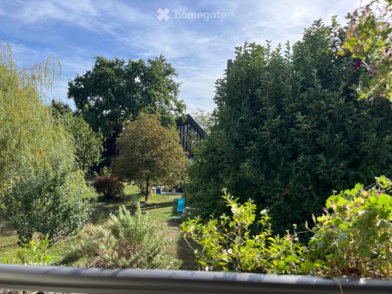 Garden with various trees, shrubs, and a small seating area with chairs.