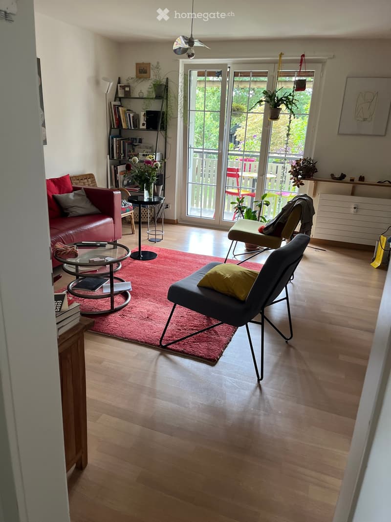 Modern living room with wooden flooring, red rug, sofa, chairs, coffee table, bookshelf, and potted plants.