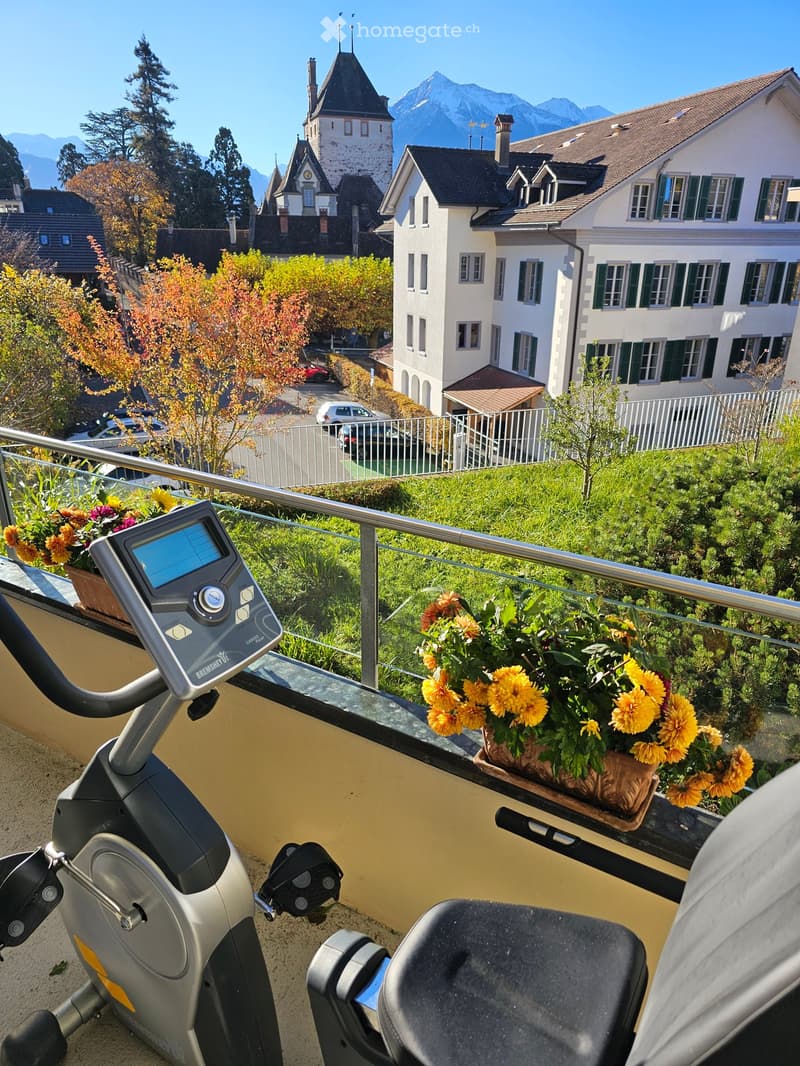 Balcony with exercise bike, flower pots, and scenic mountain view.