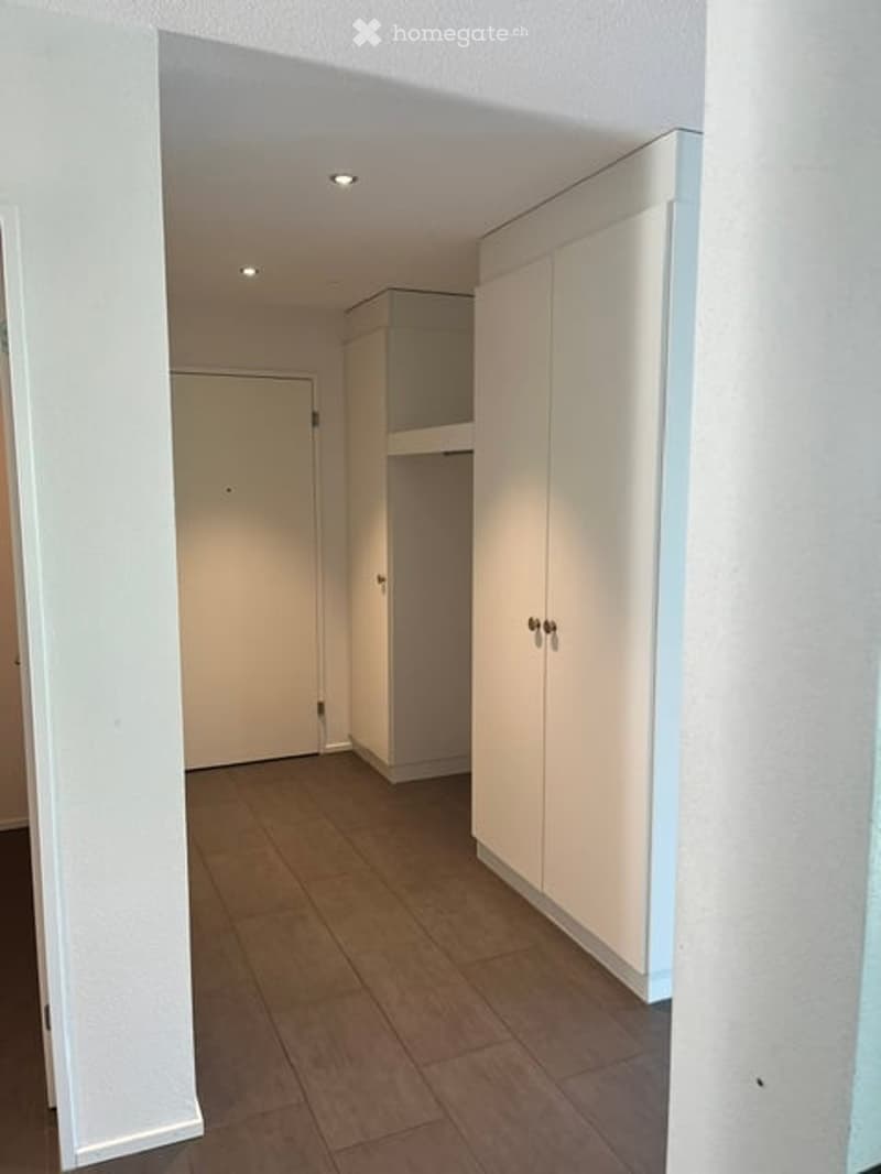 Empty hallway with light-colored walls, wooden flooring, and built-in white cabinets. A closed door is visible at the end of the hallway.